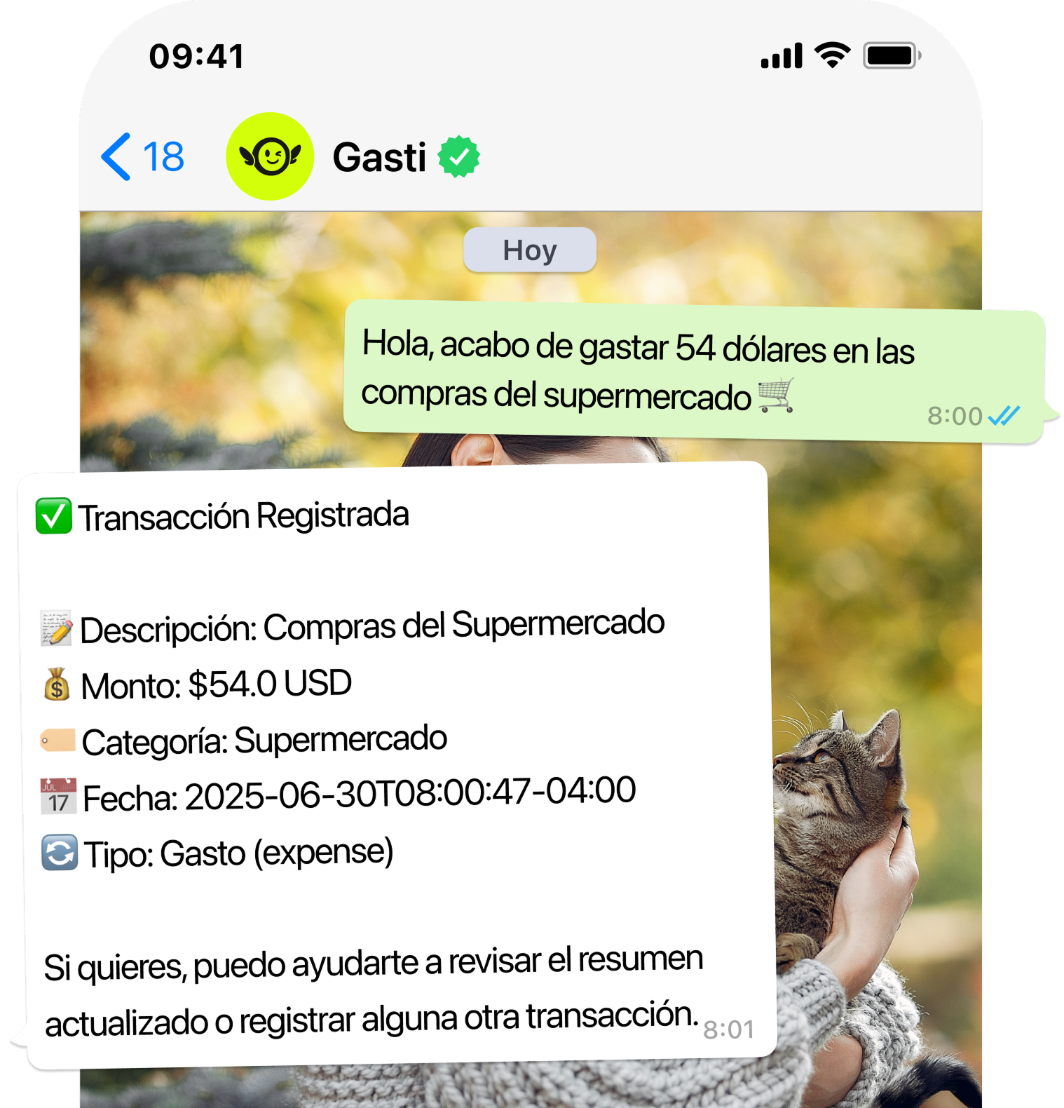 GastiBot WhatsApp Chat Interface